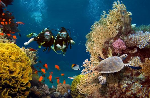 Top 5 Reasons to go Scuba Diving in Jamaica - Couples Resorts