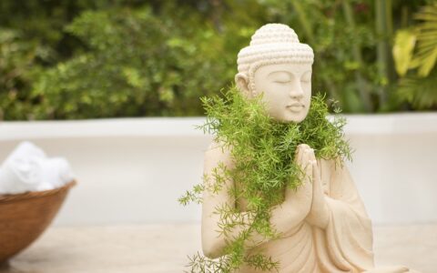 buddha statue with plants growing around the neck