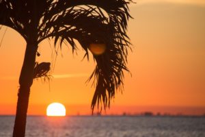 Sunset on a Catamaran Cruise