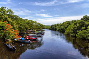 Black River and YS Falls tour