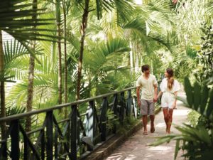 Couples walking through the rainforest holding hands